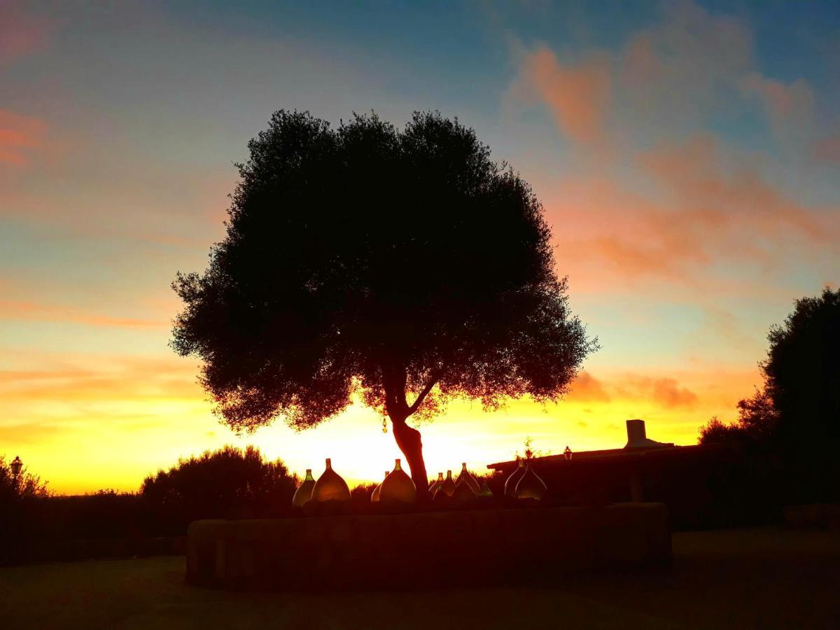 Sa Ruscitta Bed and Breakfast SantʼAntìoco Εξωτερικό φωτογραφία