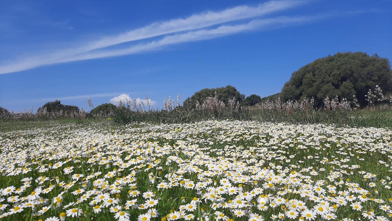 Sa Ruscitta Bed and Breakfast SantʼAntìoco Εξωτερικό φωτογραφία